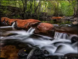 Drzewa, Stan Arizona, Las, Głazy, Kamienie, Dolina Verde Valley, Beaver Creek, Stany Zjednoczone, Rzeka