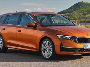 Bok, Skoda Octavia, Combi, Przód