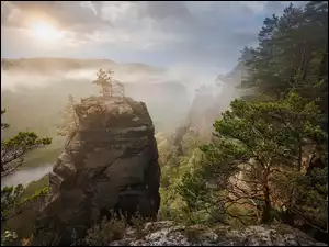 Czechy, Połabskie, Labska Stran, Mgła, Drzewa, Rzeka, Łaba, Góry, Skały