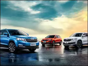 Skoda Kodiaq Skoda Karoq Skoda Kamiq