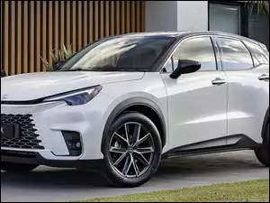 Lexus LBX, Biały