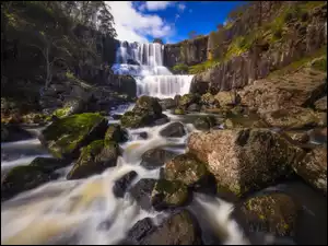 Wodospad, Kaskada, Kamienie, Rzeka, Nowa Południowa Walia, Mech, Ebor Falls, Australia, Skała, Park Narodowy Guy Fawkes River, Drzewa