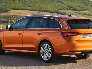 Bok, Skoda Octavia, Combi, Tył