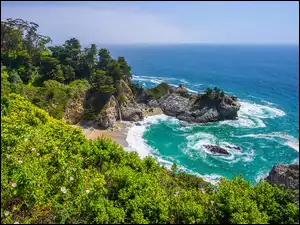 Morze, Kalifornia, Krzewy, Skały, Drzewa, Wybrzeże, Big Sur, Stany Zjednoczone, Zatoka McWay Cove
