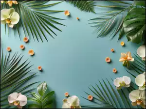 Liście, Storczyki, Orchidee, Kwiaty