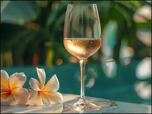Wino, Plumeria, Kieliszek, Kompozycja, Kwiaty