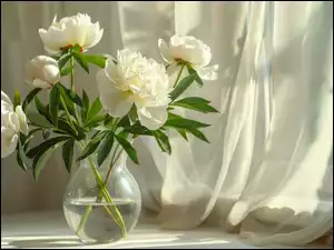 Piwonie, Kwiaty, Okno, Wazon, Białe, Firanka