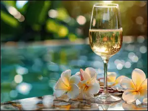 Wino, Plumeria, Kieliszek, Kompozycja, Kwiaty