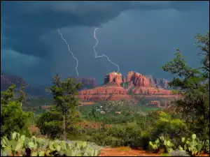 Kaktusy, Pioruny, Błyskawice, Chmury, Arizona, Stany Zjednoczone, Skały, Sedona, Cathedral Rock, Drzewa