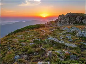 Kamienie, Polska, Babia Góra, Wschód Słońca, Góry, Skały, Mgła, Beskidy