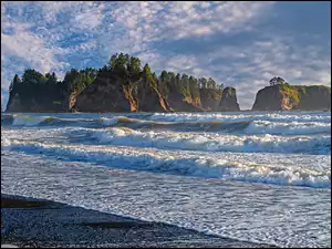 Drzewa, Fale, Plaża Rialto, Morze, Waszyngton, Stany Zjednoczone, Półwysep, Park Narodowy Olympic, Olympic Peninsula, Skały