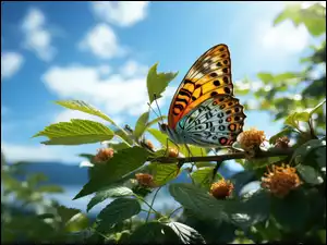 Liście, Grafika, Gałąź, Motyl, Niebo