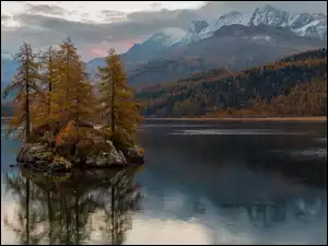 Jezioro Silsersee, Szwajcaria, Drzewa, Wzgórza, Wyspa, Zalesione