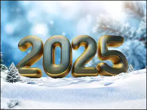 2025, Grafika, Nowy Rok, Zima, Data