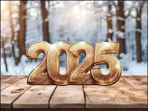 Deski, Śnieg, 2025, Nowy Rok, Drzewa