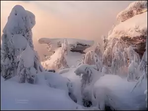 Ośnieżone, Zima, Zaspy, Skały, Drzewa, Śnieg