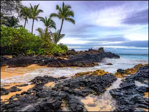 Maui, Morze, Skały, Hawaje, Palmy, Secret Beach, Stany Zjednoczone, Plaża
