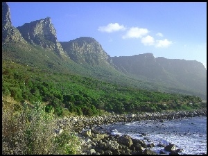 Góry, Krzew