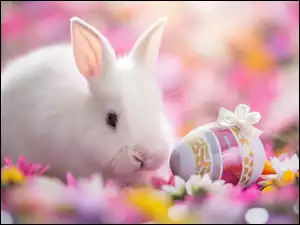 Królik, Biały, Kwiaty, Grafika, Pisanka, Wielkanoc