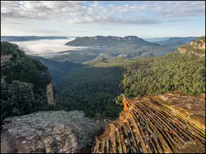 Poranek, Skały, Lasy, Góry Błękitne, Nowa Południowa Walia, Australia, Jamison Valley, Dolina, Tarpeian Rock, Mgła