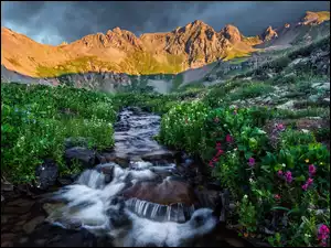 Skały, Kolorado, Kwiaty, Clear Creek Basin, Rzeka, Góry, San Juan Mountains, Stany Zjednoczone, Wąwóz