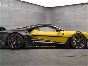 Bok, Ford GT, Mansory Under Armour