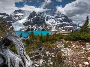 Kanada, Góra, Mount Robson, Kanadyjskie Góry Skaliste, Jezioro, Park Prowincjonalny Mount Robson, Drzewa, Berg Lake, Kamienie, Chmury