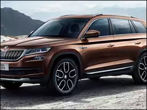 Skoda Kodiaq, Brązowa