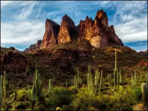 Skały, Arizona, Tree Sisters, Chmury, Kaktusy saguaro, Stany Zjednoczone, Sonoran Desert, Szczyty, Pustynia, Góry, Superstition Mountains, Rośliny
