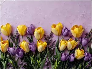 Krokusy, Grafika, Tulipany, Kwiaty, Ściana