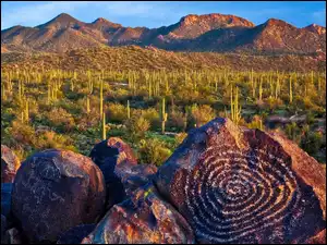 Arizona, Tucson, Kaktusy, Stany Zjednoczone, Skały, Góry, Park Narodowy Saguaro