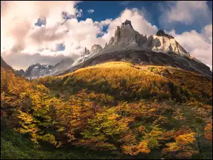 Jesień, Argentyna, Masyw, Chmury, Patagonia, Torres del Paine, Lasy, Góry