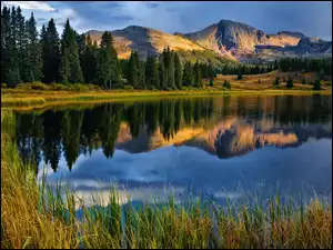 Molas Lake, Odbicie, Drzewa, Jezioro, Kolorado, Trawa, Góry, Stany Zjednoczone, Las, San Juan Mountains, Chmury