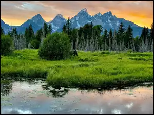 Las, Stany Zjednoczone, Góry, Drzewa, Wyoming, Rzeka, Zachód słońca, Park Narodowy Grand Teton