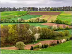 Nadrenia Palatynat, Eifel, Łąki, Niemcy, Drzewa, Pola, Wiosna