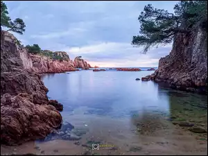 Wybrzeże, Morze Śródziemne, Drzewa, Hiszpania, Skały, Costa Brava