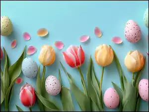 Tulipany, Tło, Pisanki, Wielkanoc, Płatki