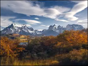 Patagonia, Chile, Góry, Drzewa, Park Narodowy Torres del Paine, Jesień