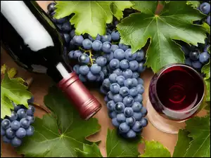 Liście, Winogrona, Wino, Grafika, Kieliszek, Butelka