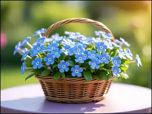 Wiklinowy, Grafika, Kwiaty, Niebieskie, Koszyk