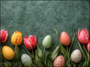 Pisanki, Tło, Kolorowe, Wielkanoc, Tulipany