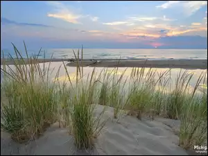 Michigan, Jezioro, Piasek, Stany Zjednoczone, Trawy, Szuwary, Lake Michigan