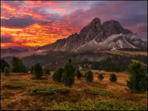 Góry, Dolomity, Chmury, Włochy, Zachód słońca, Roślinność, Drzewa