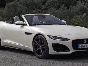 Alpine, Jaguar F-Type R, Cabrio