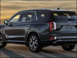 Hyundai Palisade, Czerny