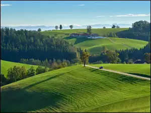 Drogi, Lasy, Pola, Wzgórza, Łąki, Domy, Drzewa