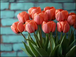 Tulipany, Cegły, Czerwone, Kwiaty, Tło