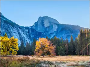 Promienie słońca, Park Narodowy Yosemite, Drzewa, Kalifornia, Góry, Jesień, Stany Zjednoczone, Las