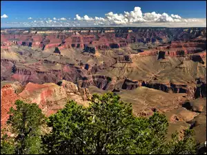Góry, Stany Zjednoczone, Grand Canyon National Park, Skały, Arizona, Kanion, Drzewa, Park Narodowy Wielkiego Kanionu