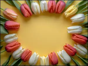 Tło, Kolorowe, Tulipany, Żółte